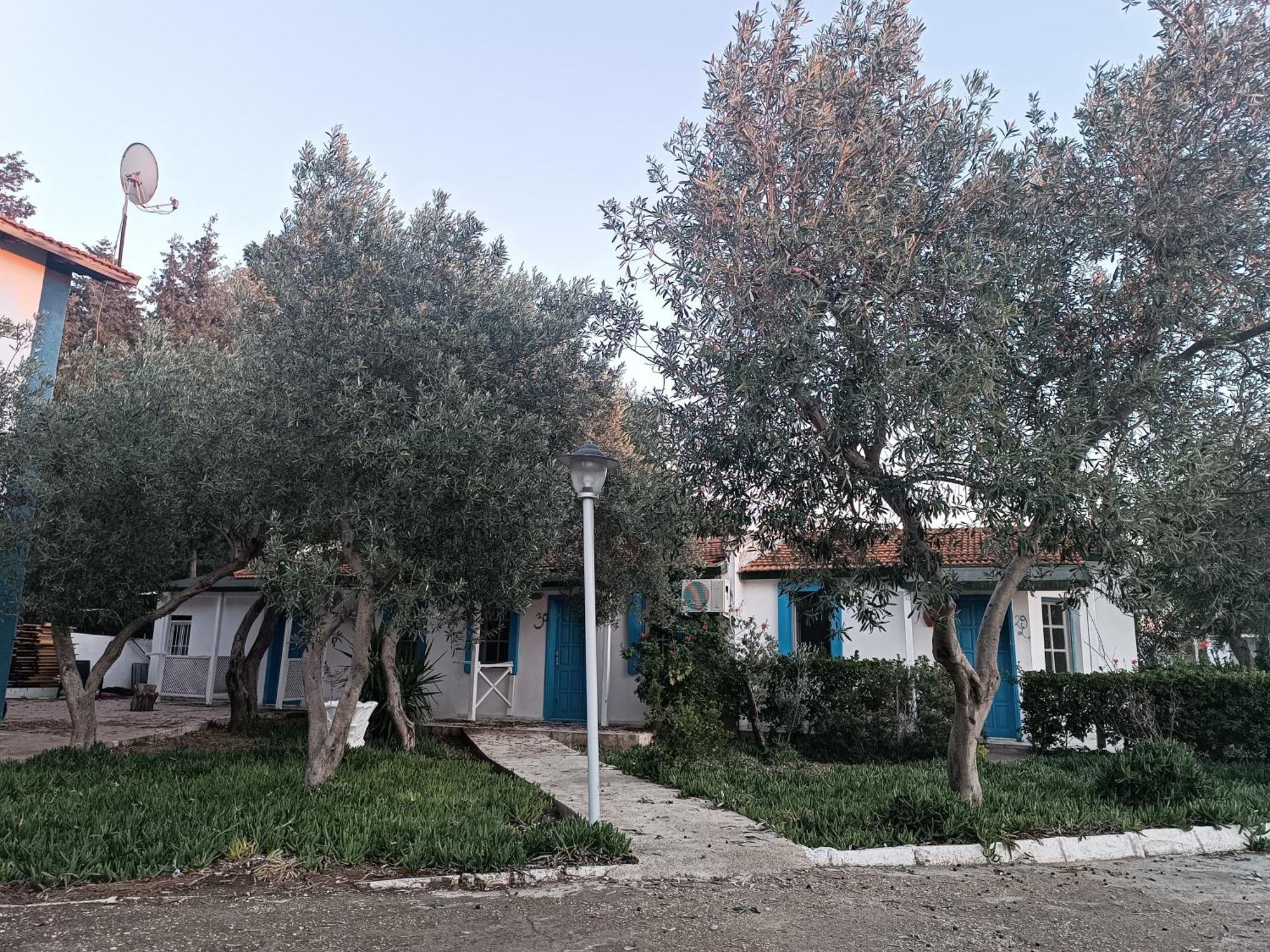 Teos Ormanci Tatil Koyu Hotell Seferihisar Exteriör bild