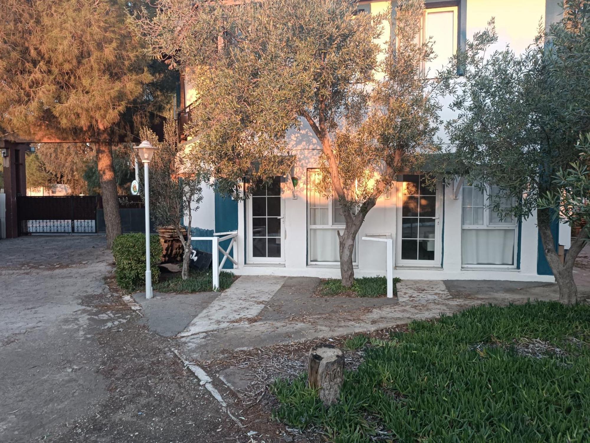 Teos Ormanci Tatil Koyu Hotell Seferihisar Exteriör bild
