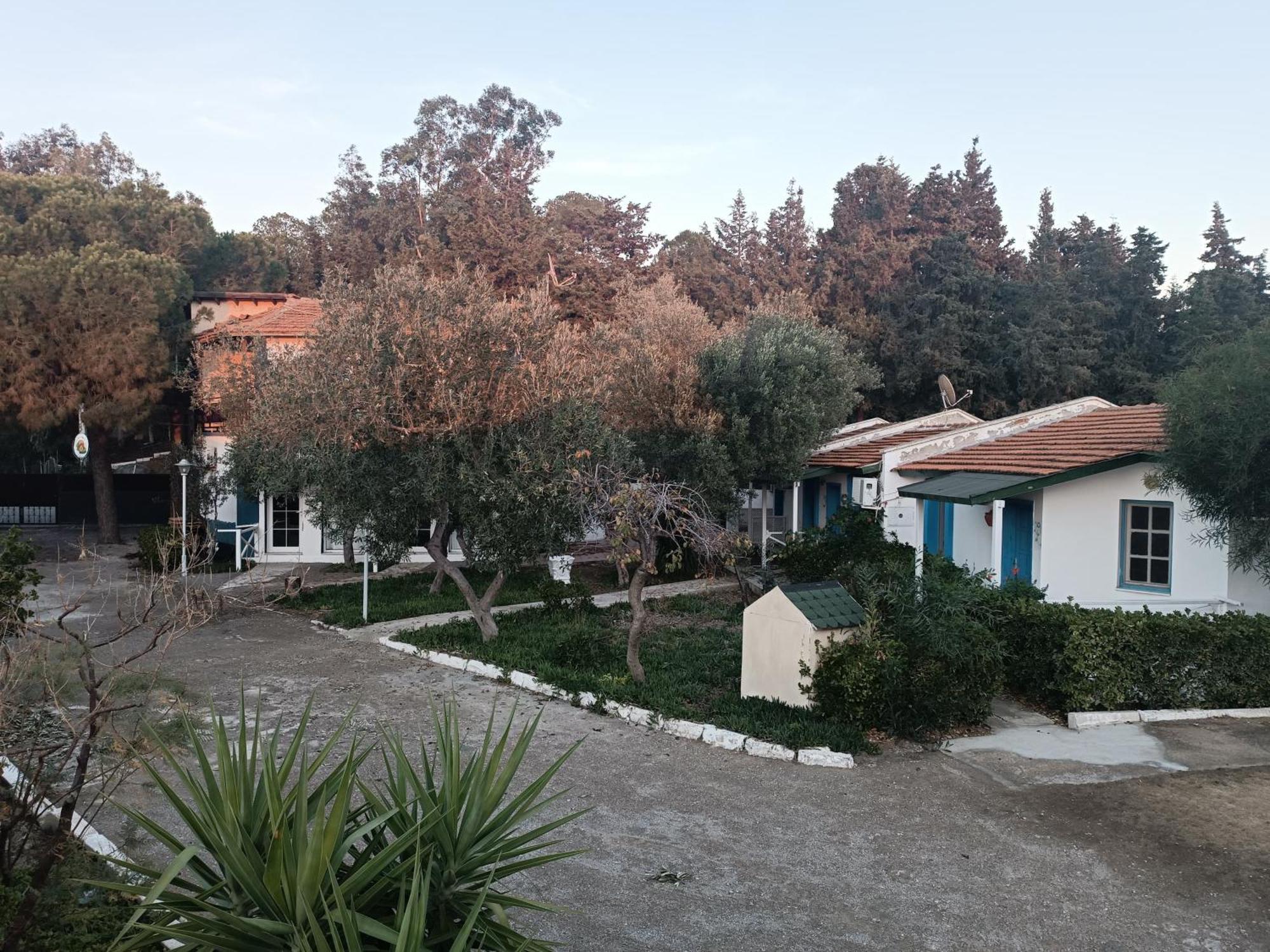 Teos Ormanci Tatil Koyu Hotell Seferihisar Exteriör bild