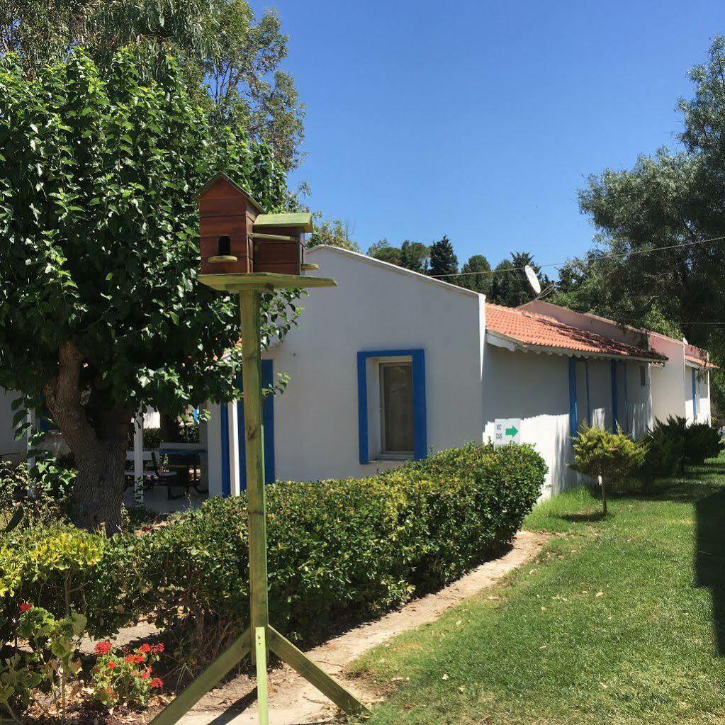 Teos Ormanci Tatil Koyu Hotell Seferihisar Exteriör bild