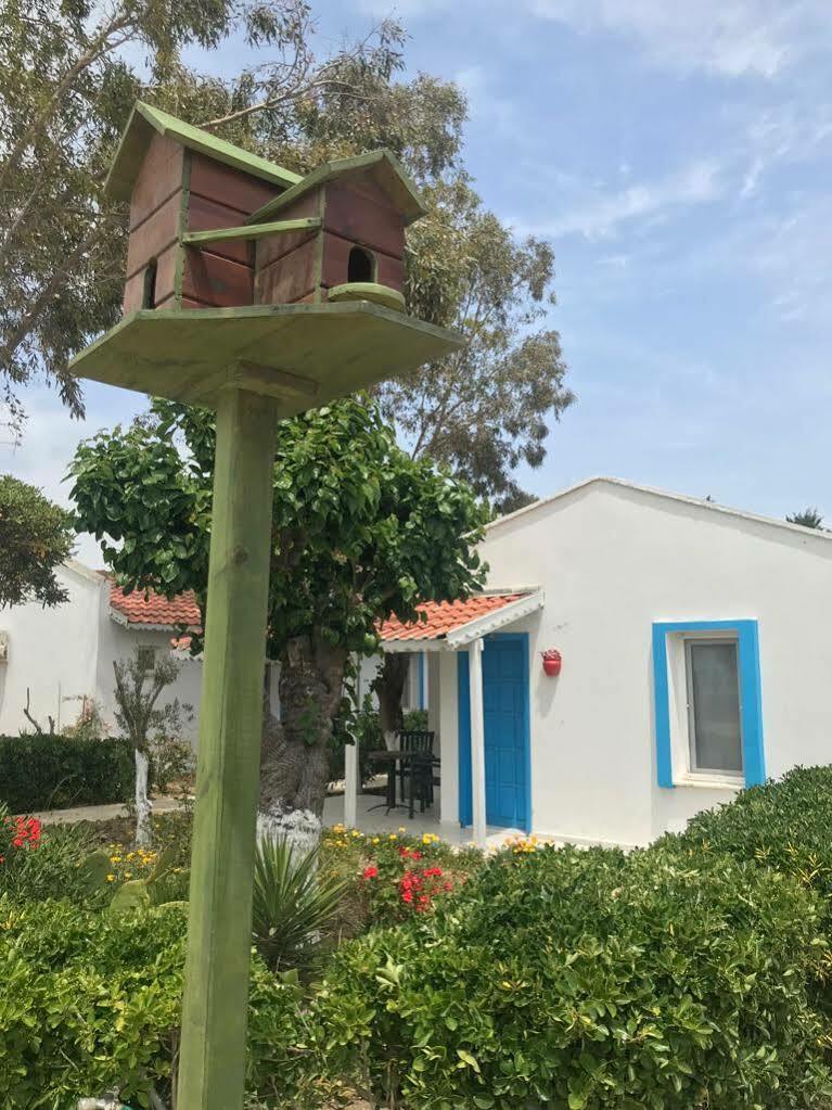 Teos Ormanci Tatil Koyu Hotell Seferihisar Exteriör bild